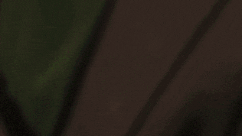 Quadro do banner animado do BDA 2026: uma gelatina verde e pratos sobre uma mesa vermelha