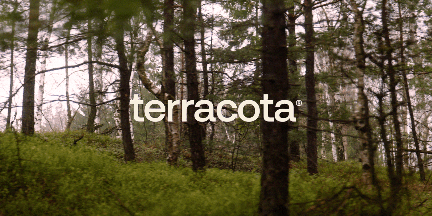 Logotipo terracota em branco sobre uma floresta de pinheiros